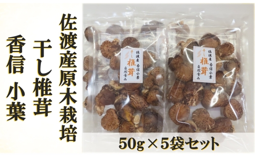 【佐渡産 干し椎茸 香信小葉】50g×5袋 原木栽培 短時間で戻る 日椎連箱物品評会 どんこ部1等の生産者 | 新潟県産しいたけ 佐渡産しいたけ 干し椎茸 干ししいたけ 乾燥しいたけ しいたけ シイタケ 椎茸 香信 こうしん きのこ 出汁 だし 乾物 にいがた さど 新潟県 佐渡市