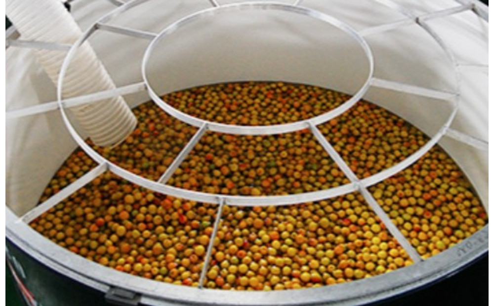 白鶴 梅酒原酒 720ml瓶 x 1本