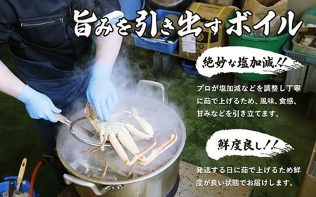 蟹 かに 松葉かに ズワイガニ ボイル 800g ~ 999g 緑タグ 国産 ブランド お鍋 お歳暮 贈答 プレゼント 高級 カニ 産地直送 京都 舞鶴