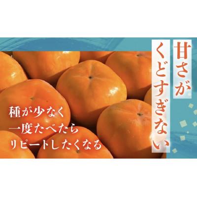 ふるさと納税 豊橋市 FarmSORAの次郎柿　秀品3kg |  | 01