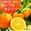 【ふるさと納税】厳選 ネーブルオレンジ 2kg+60g（傷み補償分）【光センサー選別】 / ネーブル オレンジ ＜2025年2月上旬頃〜2月下旬ごろに順次発送＞