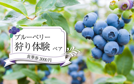 ブルーベリー 狩り 体験 チケット2枚 食事券 3000円 祖谷かずら橋 観光 【 観光 】