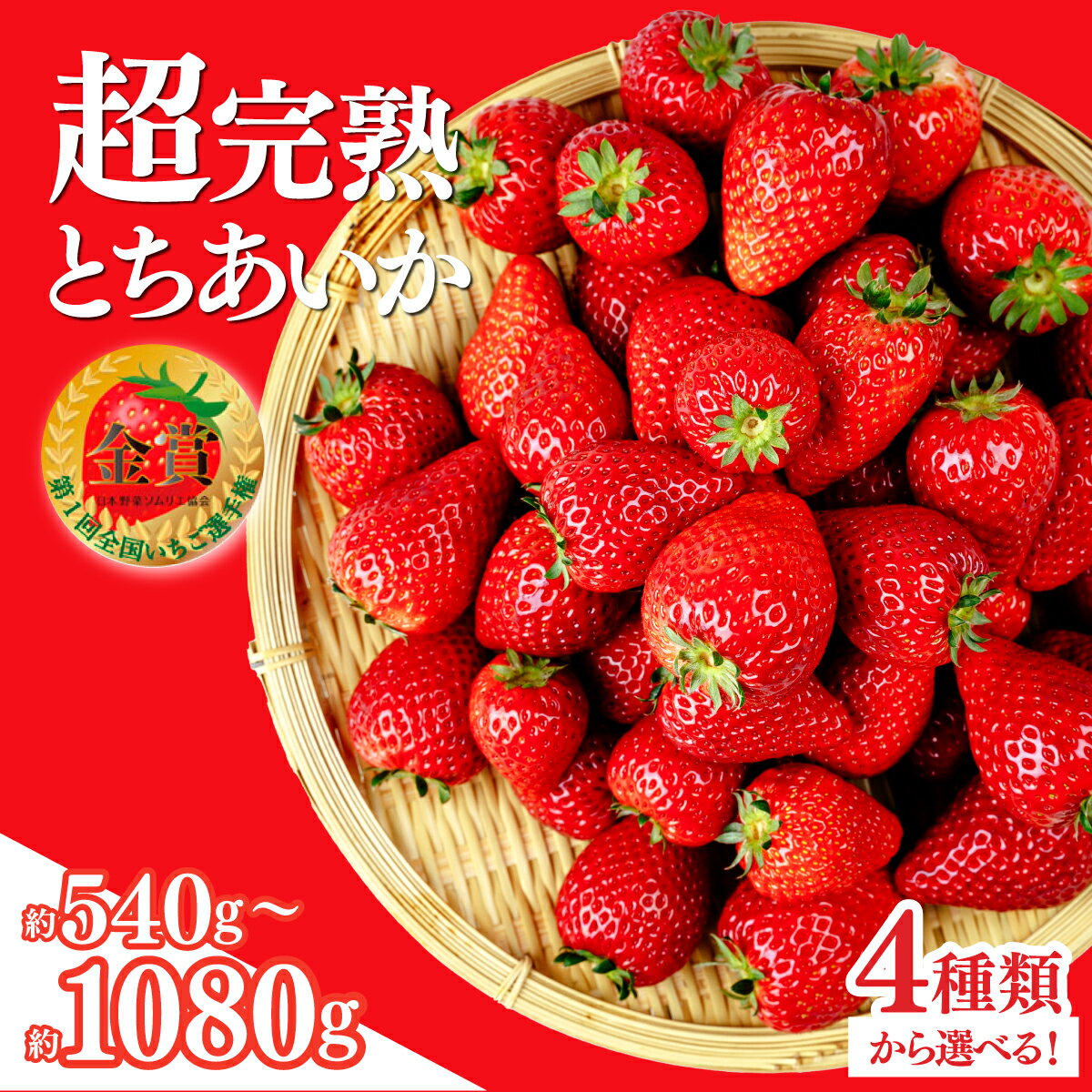 【ふるさと納税】いちご 「茂木完熟いちご」いちご選手権金賞農園の 朝採れ とちあいか 540g 1080g 選べる発送月＆内容量 | いちご イチゴ 苺 とちあいか 第1回いちご選手権金賞 ブランドいちご 完熟 果物 フルーツ くだもの 旬 産地直送 栃木県産 美土里農園 栃木県 茂木町