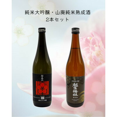 【ふるさと納税】越生梅林 旨味たっぷり2本セット【1707801】