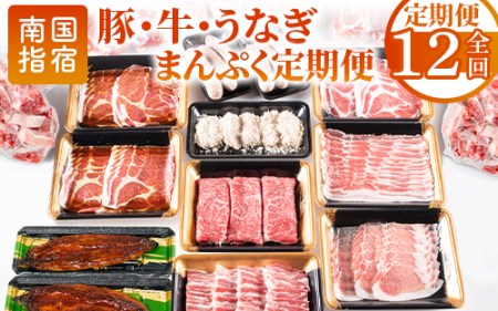 【全１２回定期便】鹿児島自慢の 豚 ・ 牛 ・ うなぎ まんぷく 定期便 (水迫畜産/Z100-1773) 頒布会 頒布 定期 国産 肉 豚 牛 豚肉 牛肉 鹿児島県産 生ハム すき焼き 和牛 国産牛 薄切り スライス 黒毛和牛 霜降り バラ ロース 黒豚 鍋 しゃぶしゃぶ カルビ 小分け カレー シチュー ステーキ 焼き肉 焼肉 指宿 鹿児島 いぶすき