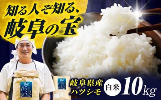 【令和7年度産】岐阜県産米ハツシモ10kg ハツシモ 白米 精米 米　岐阜市 / 藍川ファーム [ANHI002]