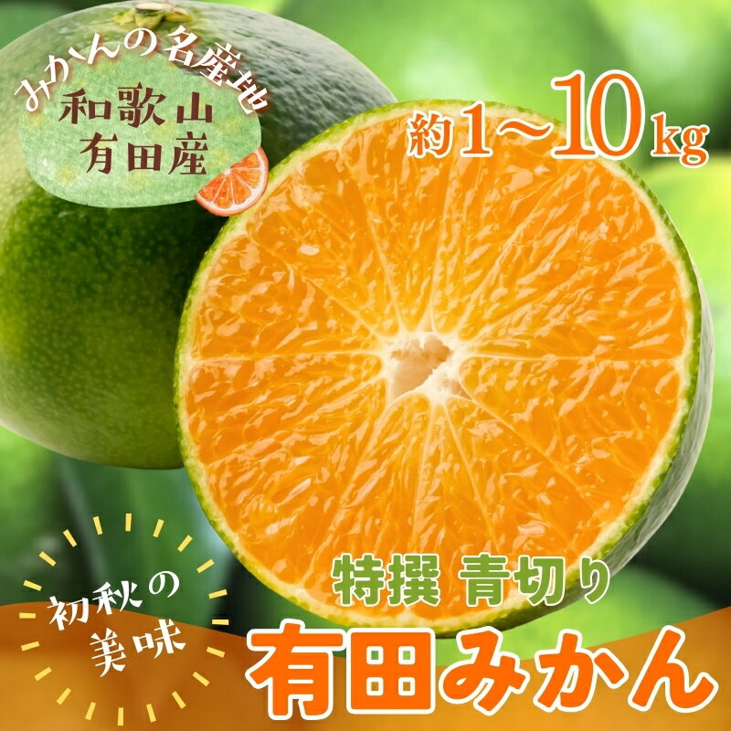 【ふるさと納税】 【先行予約】【2025年9月中旬〜10月中旬頃発送予定】【初秋の美味】【農家直送】特撰 青切り有田みかん 1～10kg 選べる容量