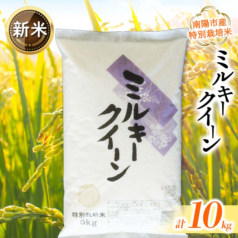 【ふるさと納税】 【令和7年産 新米 先行予約】 【金賞受賞農家】 特別栽培米 ミルキークイーン 計10kg (5kg×2袋) 《令和7年11月上旬～発送》 『あおきライスファーム』 山形南陽産 米 白米 精米 ご飯 農家直送 山形県 南陽市 [2409-AR7]