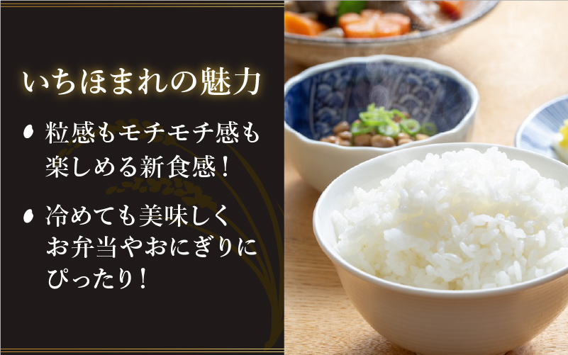 【令和7年産】 いちほまれ 5kg　（5kg × 1袋） 5kg（5kg × 1袋）
