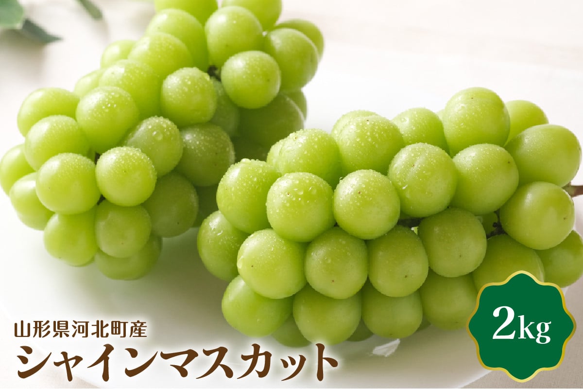 【令和5年産】 シャインマスカット 2kg【JAさがえ西村山】