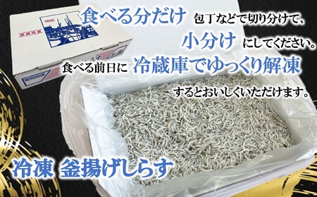 釜揚げしらす 1kg (1箱) 減塩 無添加 無着色 冷凍 カネ成  愛知県 南知多町 ( ｼﾗｽ ｼﾗｽ ｼﾗｽ ｼﾗｽ ｼﾗｽ ｼﾗｽ ｼﾗｽ ｼﾗｽ ｼﾗｽ ｼﾗｽ ｼﾗｽ ｼﾗｽ ｼﾗｽ ｼﾗ