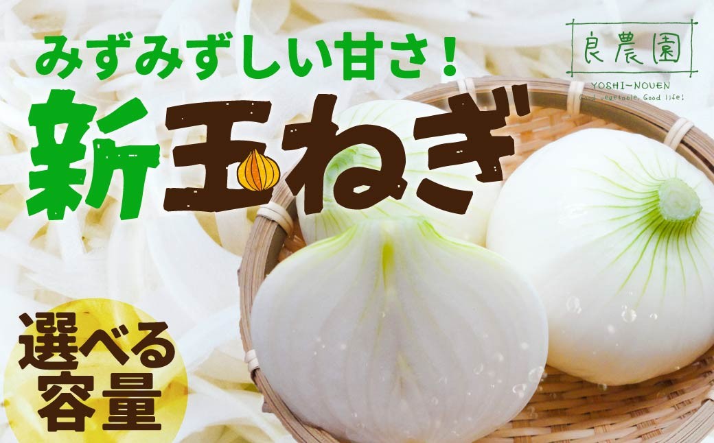 
                  新玉ねぎ 選べる容量 訳あり 5kg 10kg  | 玉ねぎ 甘い 産地直送 減農薬 野菜ソムリエ みずみずしい 旬野菜 生野菜 サラダ ギフト レシピ 贈り物 国産 朝採れ 新鮮野菜 産直 良農園 群馬県 前橋市
                