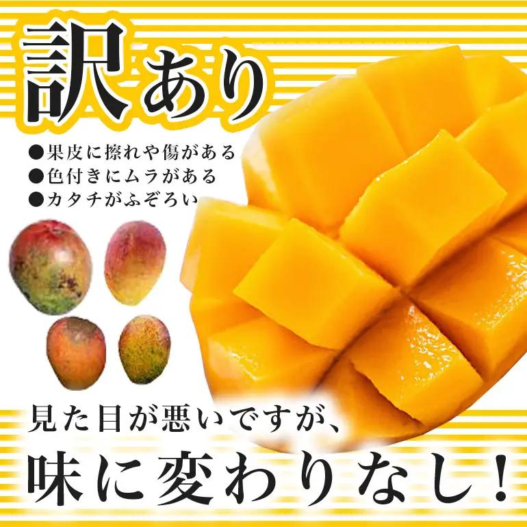 【 先行予約 2027年 発送 】 訳あり 沖縄県 糸満産 かねよし マンゴー アーウィンマンゴー 2kg 訳アリ 訳あり品 沖縄県産 アップルマンゴー 国産 完熟マンゴー 果物 くだもの フルーツ 