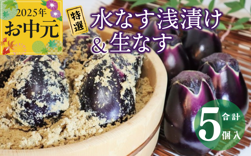 【お中元】特選水なす浅漬け＆生なす 5個入り