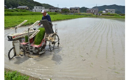 純米吟醸「備前井田」（限定品）