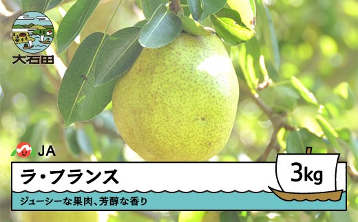 
            【先行予約】 ラ・フランス 洋梨 ラフランス 約3kg 2026年産 フルーツ くだもの 果樹 ギフト 山形県 ※沖縄・離島への配送不可 ja-laxxx3
          