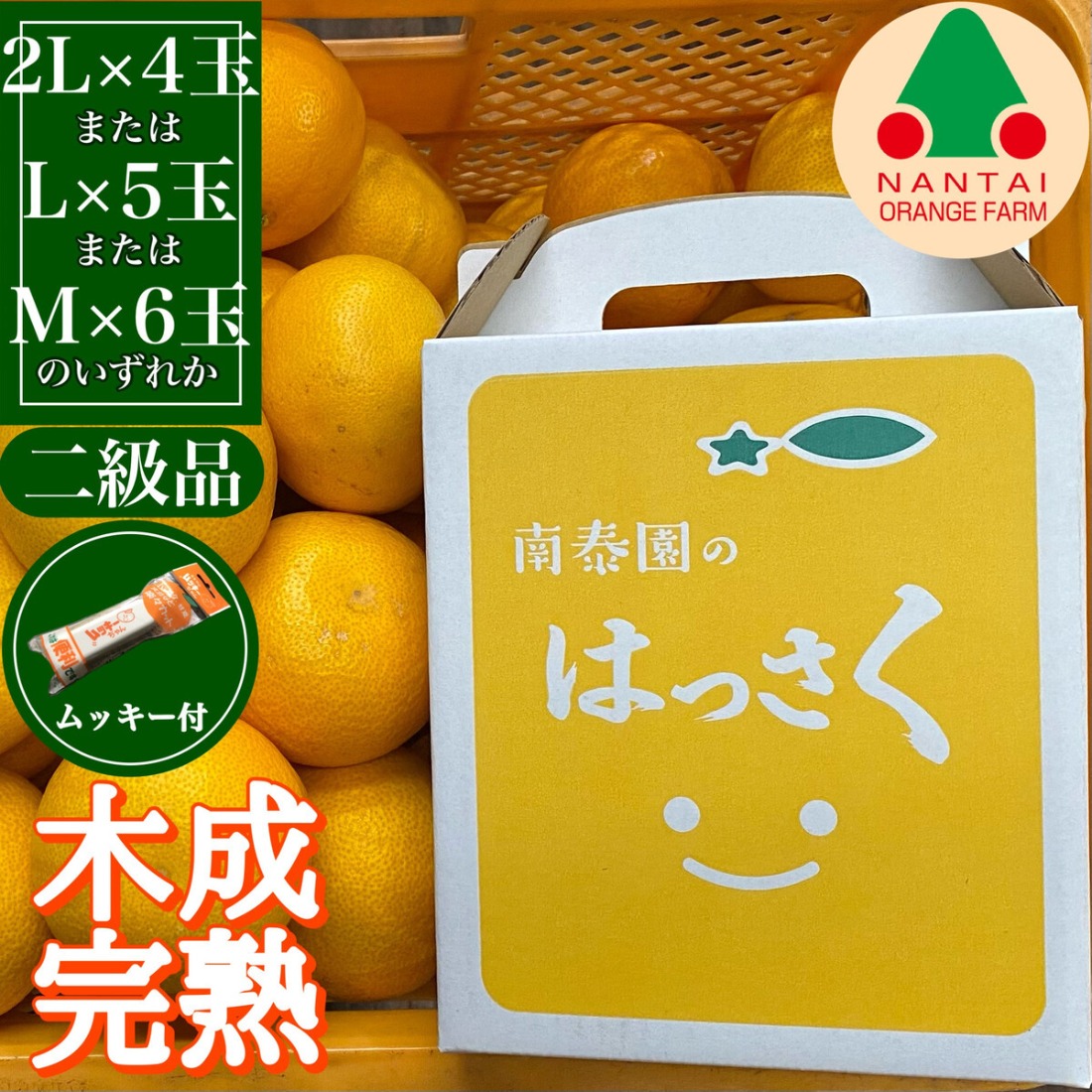 ちょっと 傷あり 4月 まで 木成 完熟 させた 有田 はっさく 2L ～ M ( 4玉 ～ 6玉 ) 手さげ箱 ムッキー 同梱 南泰園 みかん BS765