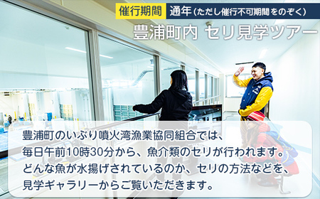 【豊浦町内】セリ見学ツアー（2人用）
