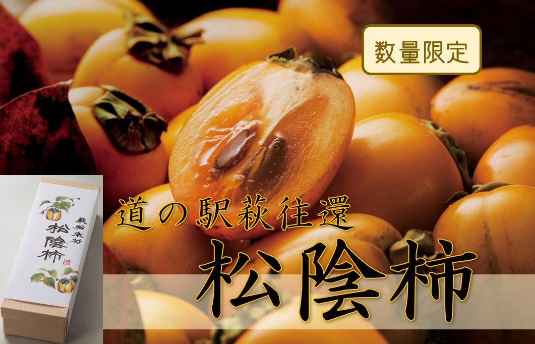 
            150年の時を超えた／松陰柿　｜HG000433
          