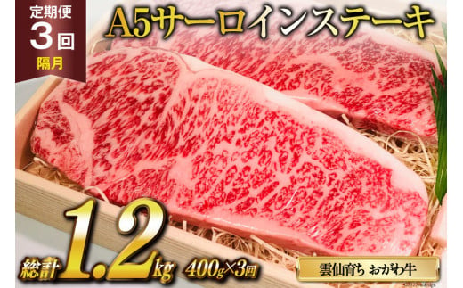 定期便 3回 牛肉 雲仙育ち おがわ牛 A5 サーロインステーキ 総計1.2kg(400g×3回) [焼肉おがわ 長崎県 雲仙市 item1597] ステーキ 黒毛和牛 冷凍