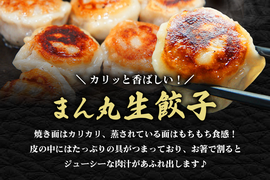 まん丸生餃子冷凍30g×60個入り（1pac 6個入り）