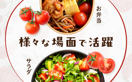 【先行予約】【発送期間は5月中旬～7月中旬、9月上旬～11月下旬】新鮮でフルーティーな小川ファームのミニトマト2.5kg(12パック入り)