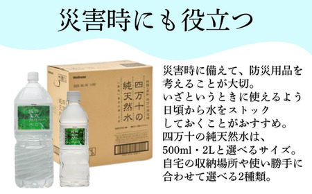 四万十の純天然水 500ml × 24本 2箱セット ミネラルウォーター 天然水 ペットボトル 水 500ml 四万十川