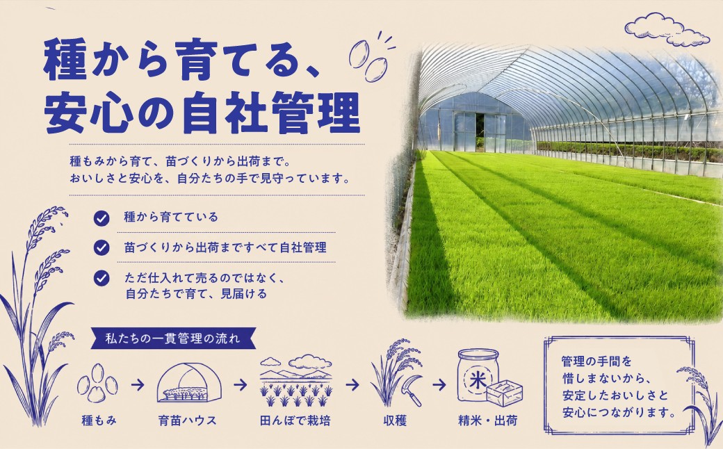 令和8年産の新米 宮代町のコシヒカリ「村そだち」をご賞味ください
