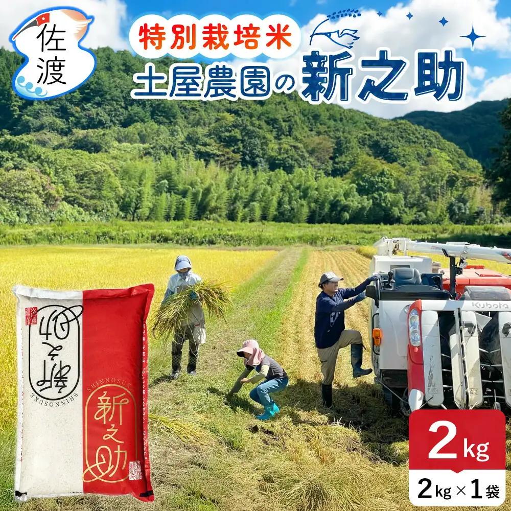 無洗米 2kg 土屋農園 令和7年 新之助 | 新潟県 佐渡市 無洗米