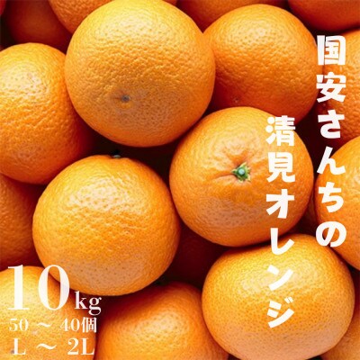 【まるで食べるジュース!越冬完熟品】愛媛産 清見オレンジ 10kg【G20−41】【1594852】