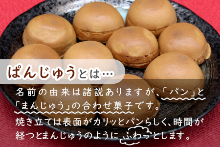 お手軽サイズ ぱんじゅう つぶあん＆りんごカスタード味 10個入り