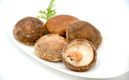 松阪 お茶しゃぶセット（松阪茶・松阪産しいたけ・魔法の塩ポン酢付）【2-159】