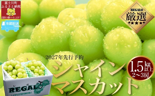 【2027年発送分 先行予約】頬張る幸福感　～緑の宝石・シャインマスカット～　１．５ｋｇ以上（２～３房）※冷蔵発送※ フルーツ 山梨県産 果物 シャイン マスカット ぶどう ブドウ 大粒 種なし 種無し 先行予約 富士川町