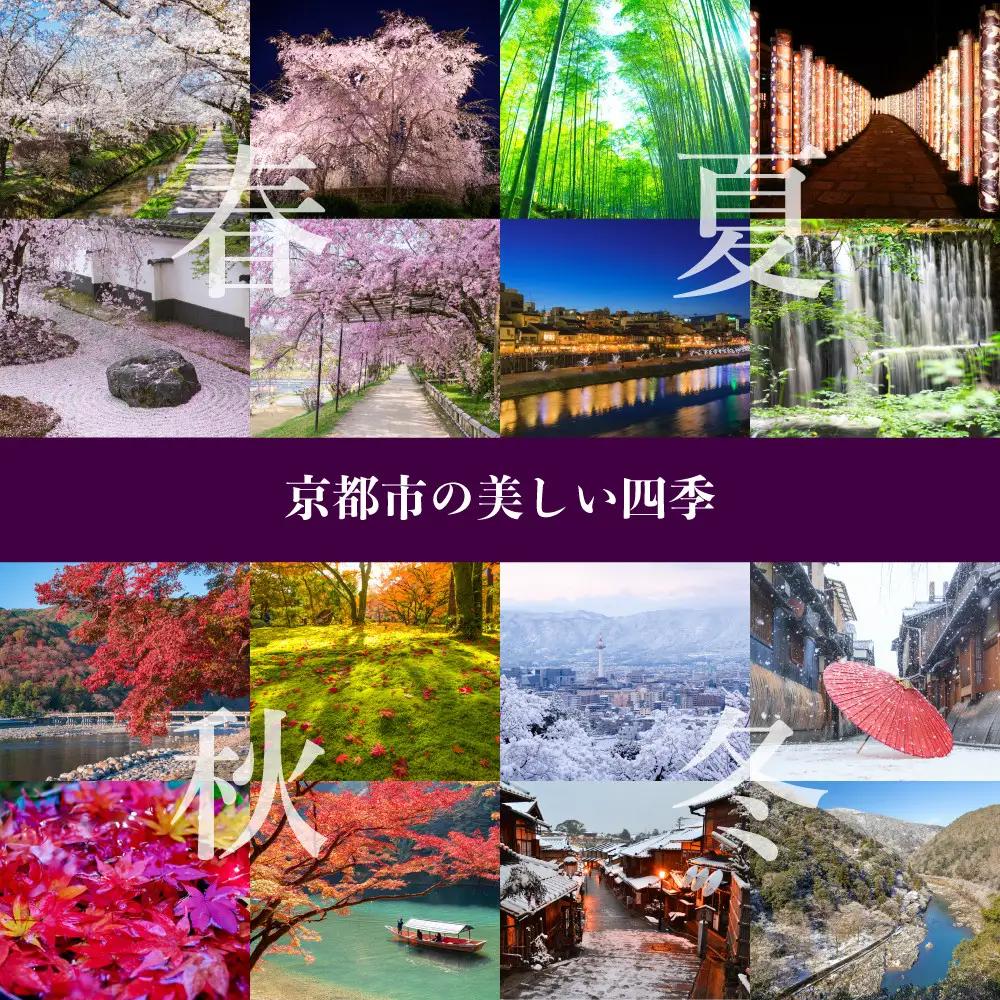 【ふるなびWEEK対象】【土井志ば漬本舗】大原の里京漬物6種6点詰め合わせ W-15｜京都 漬物 有名店 人気セット