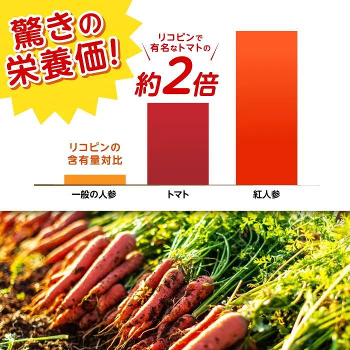 ※【2027年1月上旬より順次発送／先行予約】【甘みと栄養たっぷり！】真っ赤な人参「紅天神」 5kg / にんじん ニンジン 人参 carrot やさい 野菜 にんじんジュース 人参ジュース ニンジン