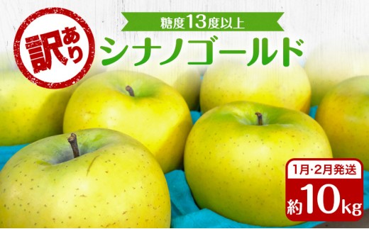 
                  りんご 【2月発送】 糖度13度以上 訳あり品 家庭用 シナノゴールド 約 10kg 【 青森りんご 果物 フルーツ デザート 食後 青森県産 産地直送 】
                