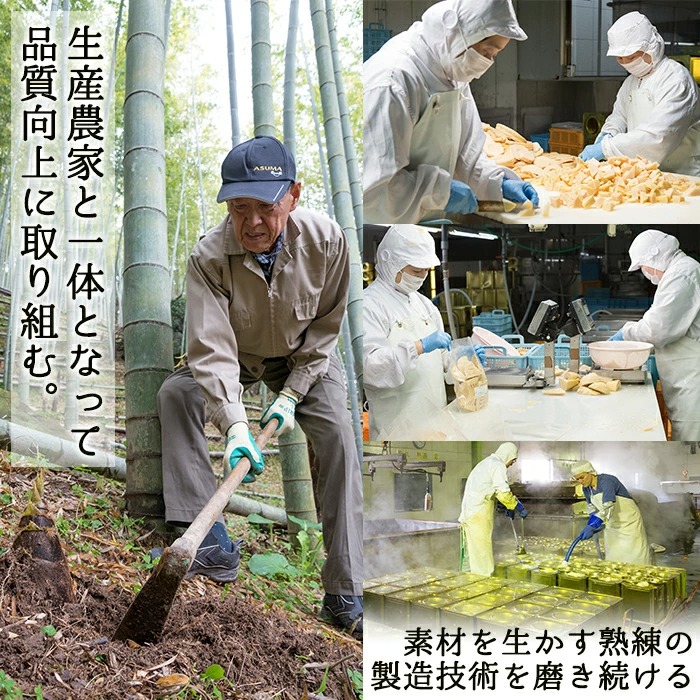 ＜先行予約受付中！2027年2月下旬以降順次発送予定＞ 【土日祝着】朝堀り青果たけのこ(約3kg) 国産 新鮮 タケノコ 青果 竹の子 筍 野菜 春 旬 期間限定 数量限定 【上野食品】akn008-