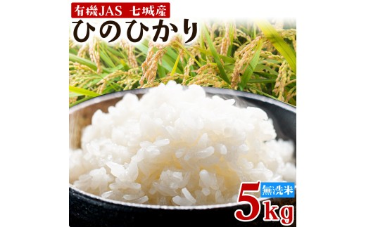 令和7年産 有機JAS 七城産ひのひかり 無洗米 5kg 渡辺農産《30日以内に出荷予定(土日祝除く)》熊本県 菊池市 米 お米 精米 ひのひかり 菊池市産 熊本県産 九州産 送料無料
