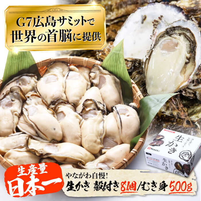 【ふるさと納税】生牡蠣【着日指定可能】生牡蠣 むき身500g・殻付き8個 広島県江田島市/マルサ・やながわ水産有限会社[XBL026] 生牡蠣 生食 むき身 かき カキ 牡蠣 魚貝