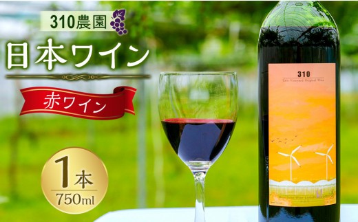 
                  ３１０農園・日本ワイン（小公子/赤ワイン）750ml ワイン 赤ワイン 2025年 酒 お酒 国産 ぶどう ブドウ 葡萄 鳥取県 北栄町 おすすめ 人気
                