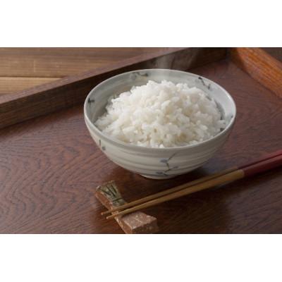 ふるさと納税 南魚沼市 【令和7年産 10月発送】雪温精法　南魚沼産こしひかり　精米　2kg |  | 03
