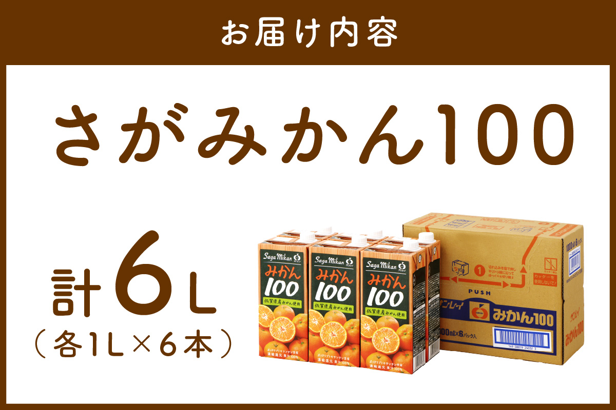 【佐賀県産温州みかん使用】 みかんジュース さがみかん100 1L×6本 果汁100% 173-A057