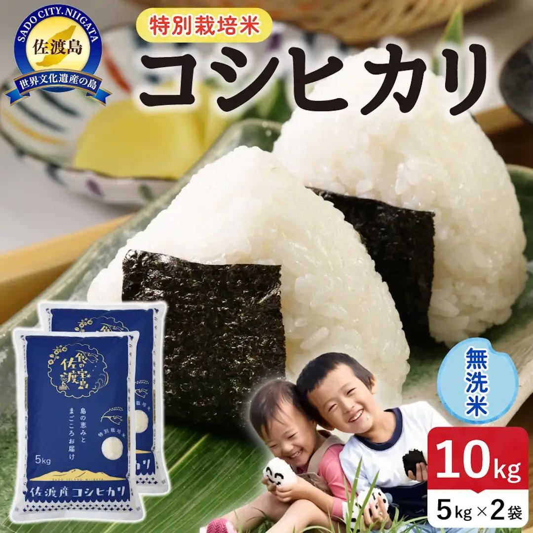 令和8年産 佐渡島産コシヒカリ 無洗米10kg 特別栽培米 195962-122402