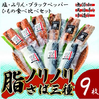 ふるさと納税 大牟田市 【無添加・天日干し・手造り】脂ノリノリさば三種の食べ比べセット