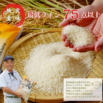 ふるさと納税 伊豆市 定期便(全3回)修善寺桂流こしひかり5kg【 コシヒカリ 白米 お米 精米 国産 米 ごはん 特別 |  | 02