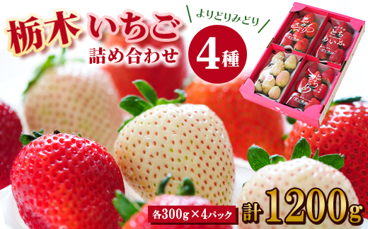 
            ＜春いちご ＞栃木のいちご4種詰め合わせセット!(300g×4パック)【1290961】
          