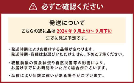 九重産 3L以上 梨 約5kg （二十世紀、あきづきのうちいずれか一種）【2024年9月上旬-2024年9月下旬発送】 