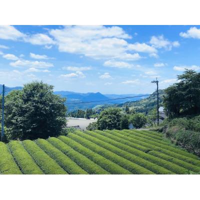 ふるさと納税 山鹿市 茶葉「山鹿市名産　岳間茶」4種飲み比べセット |  | 03
