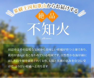 【期間限定・2024/4/30まで】不知火4kg※2024年3月から順次発送予定※ / 和歌山県 しらぬい デコポン フルーツ 果物 柑橘 田辺市 【nak015-1】