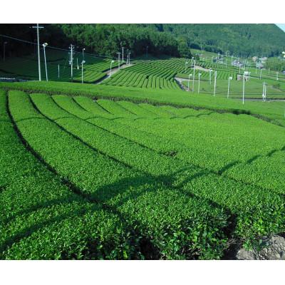 ふるさと納税 松阪市 伊勢の和紅茶とフレーバーティー3種セット |  | 01